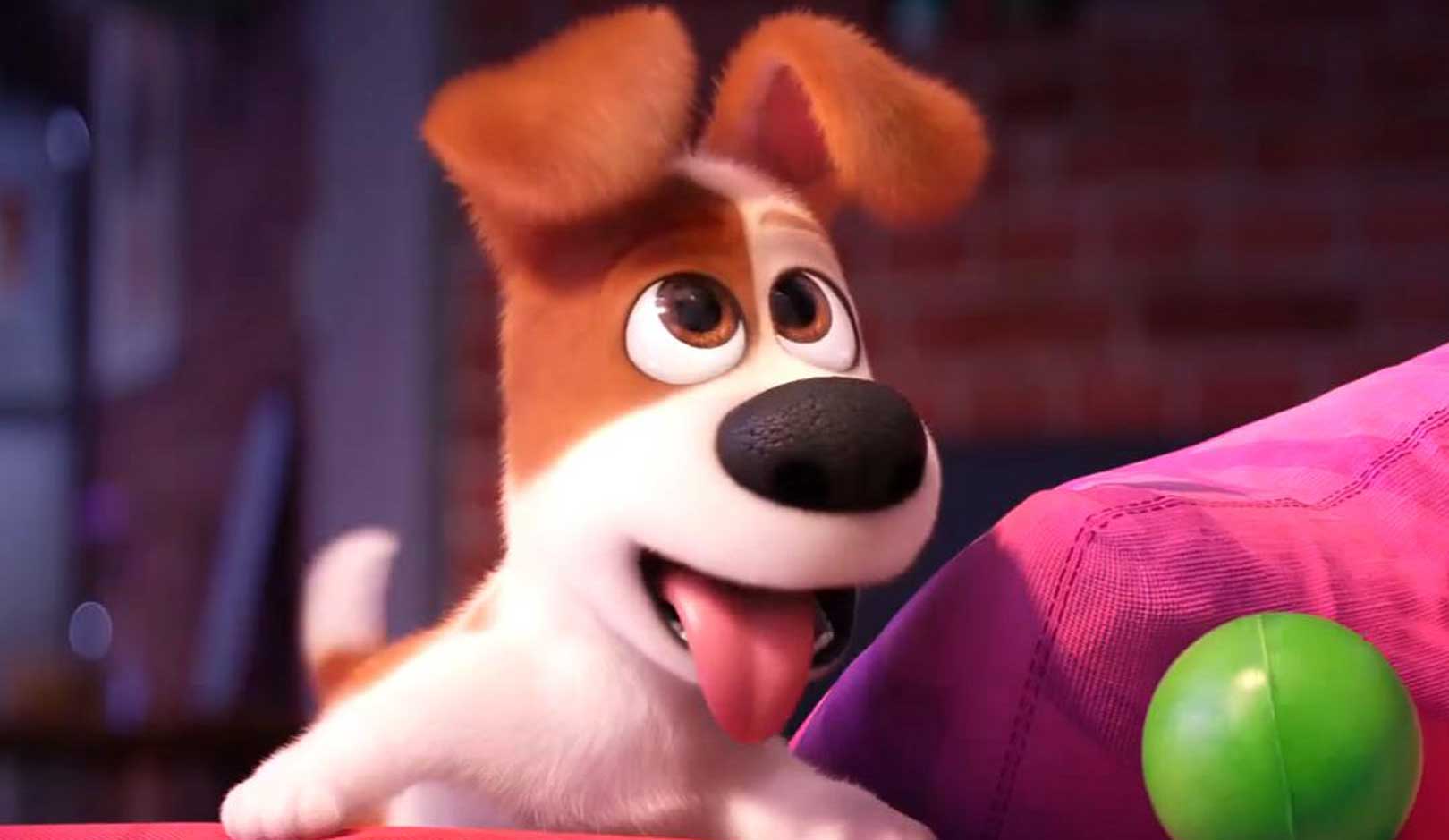 Sometimes It's Ruff To Be A Pup In The First Trailer For 'The Secret Life Of Pets 2'