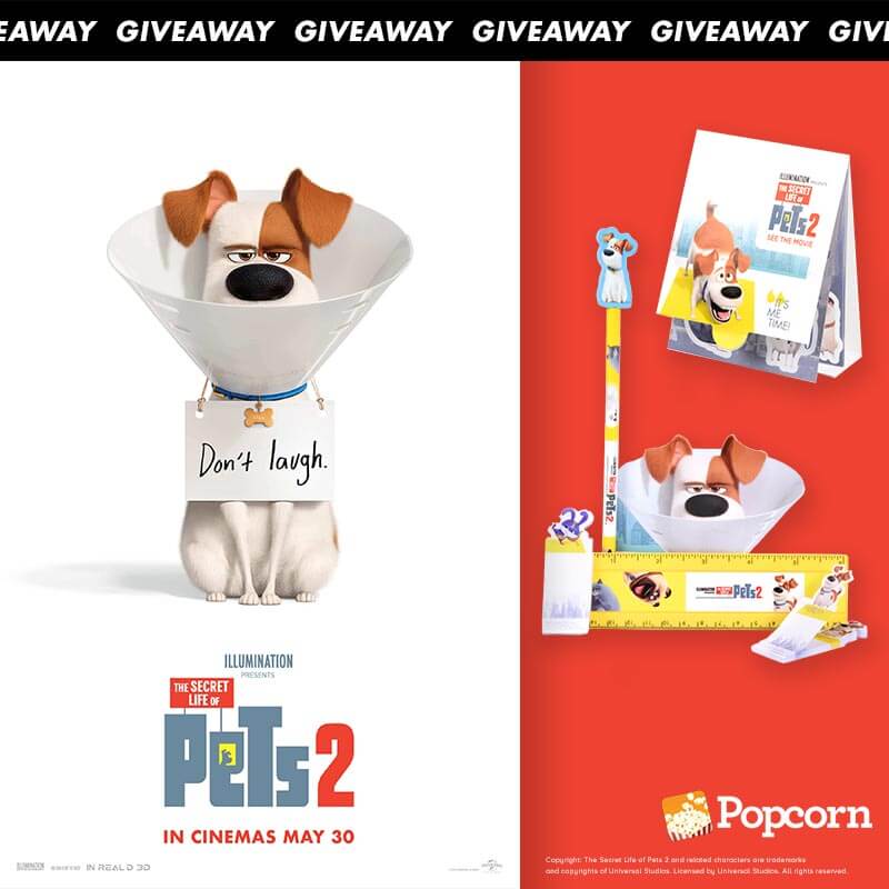 Win A Set Of Prizes To 'The Secret Life Of Pets 2'