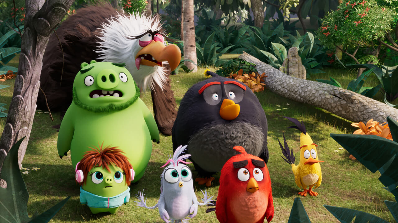 Get To Know Your Angry Birds!