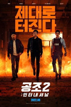 Confidential Assignment 2: International Movie Poster