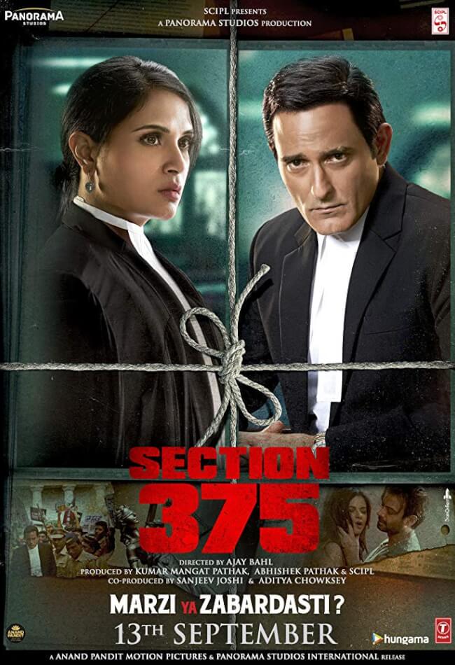 Section 375 Movie Poster