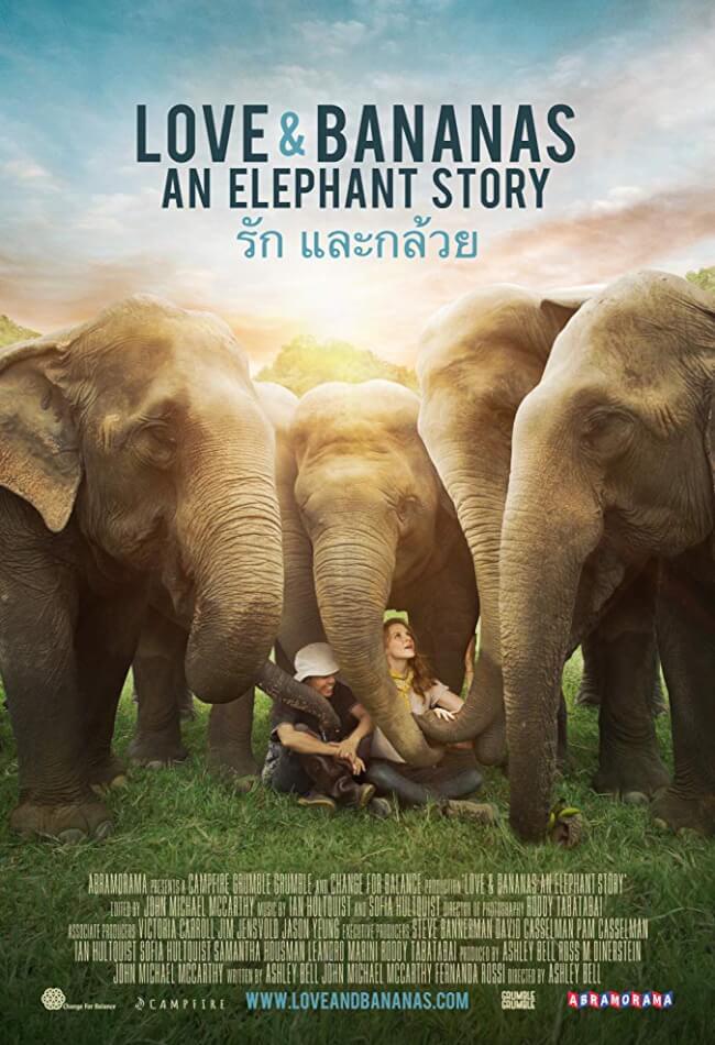 Love And Bananas: An Elephant Story Movie Poster